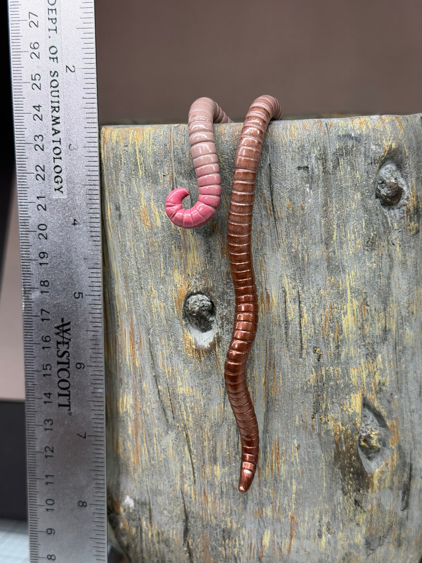 Cutie Crawler Planter Buddy 6