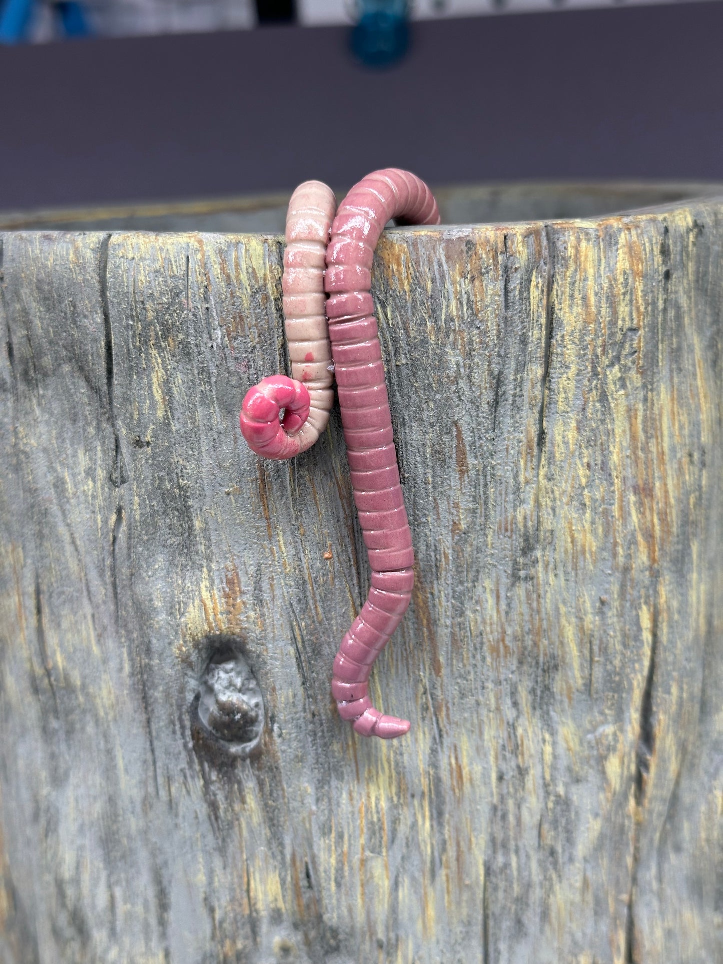 Cutie Crawler Pot Buddy 11