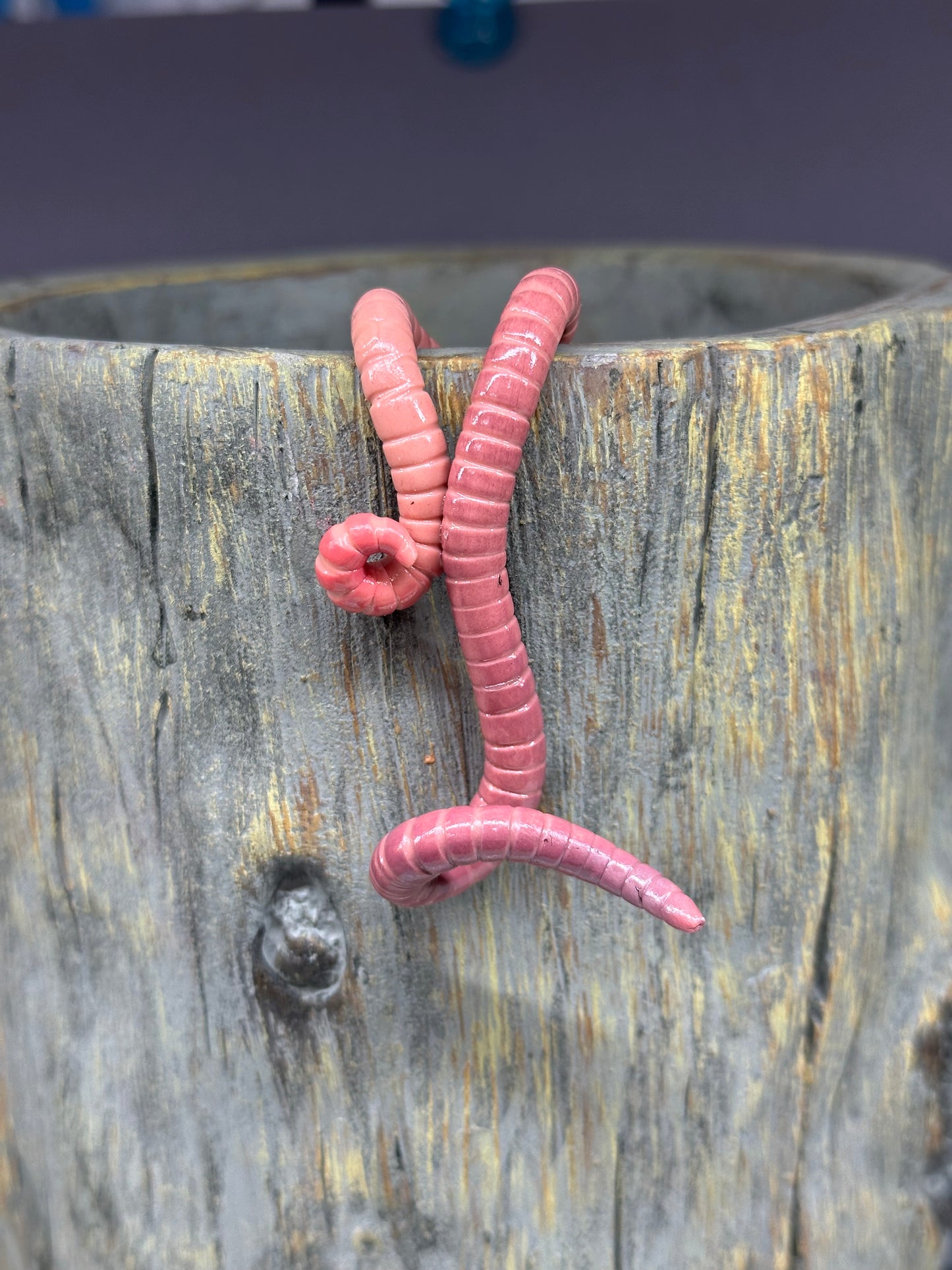 Cutie Crawler Pot Buddy 10