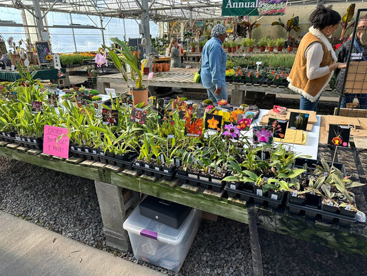 Plant Shipping will resume soon!