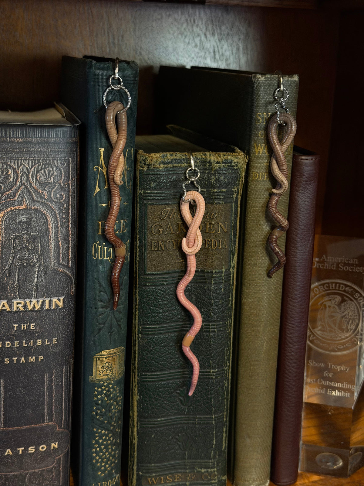 Bookworms