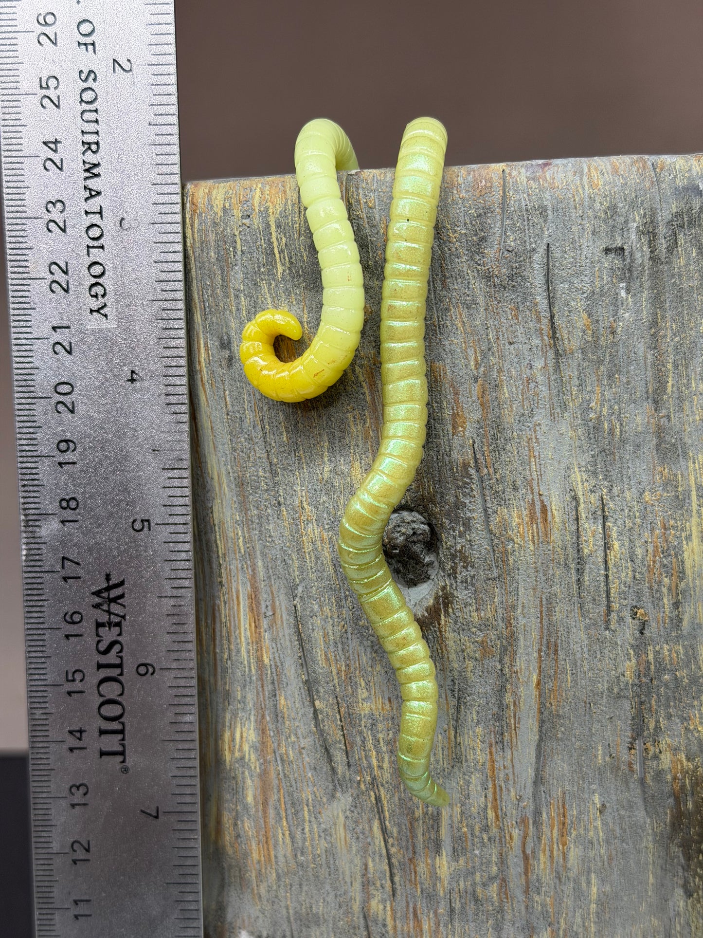 Glow in the Dark Cutie Crawler Planter Buddy 3