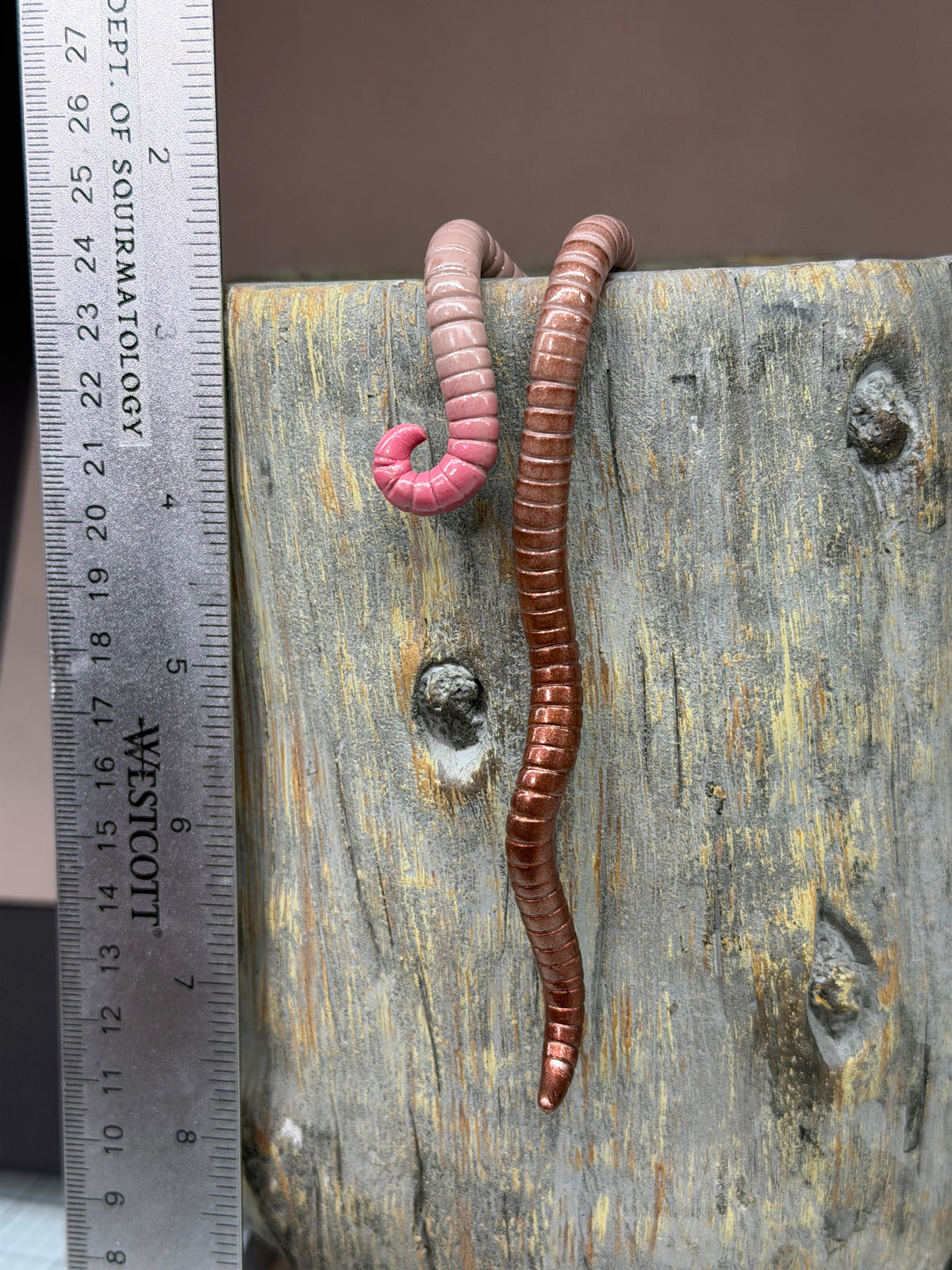 Cutie Crawler Planter Buddy 6