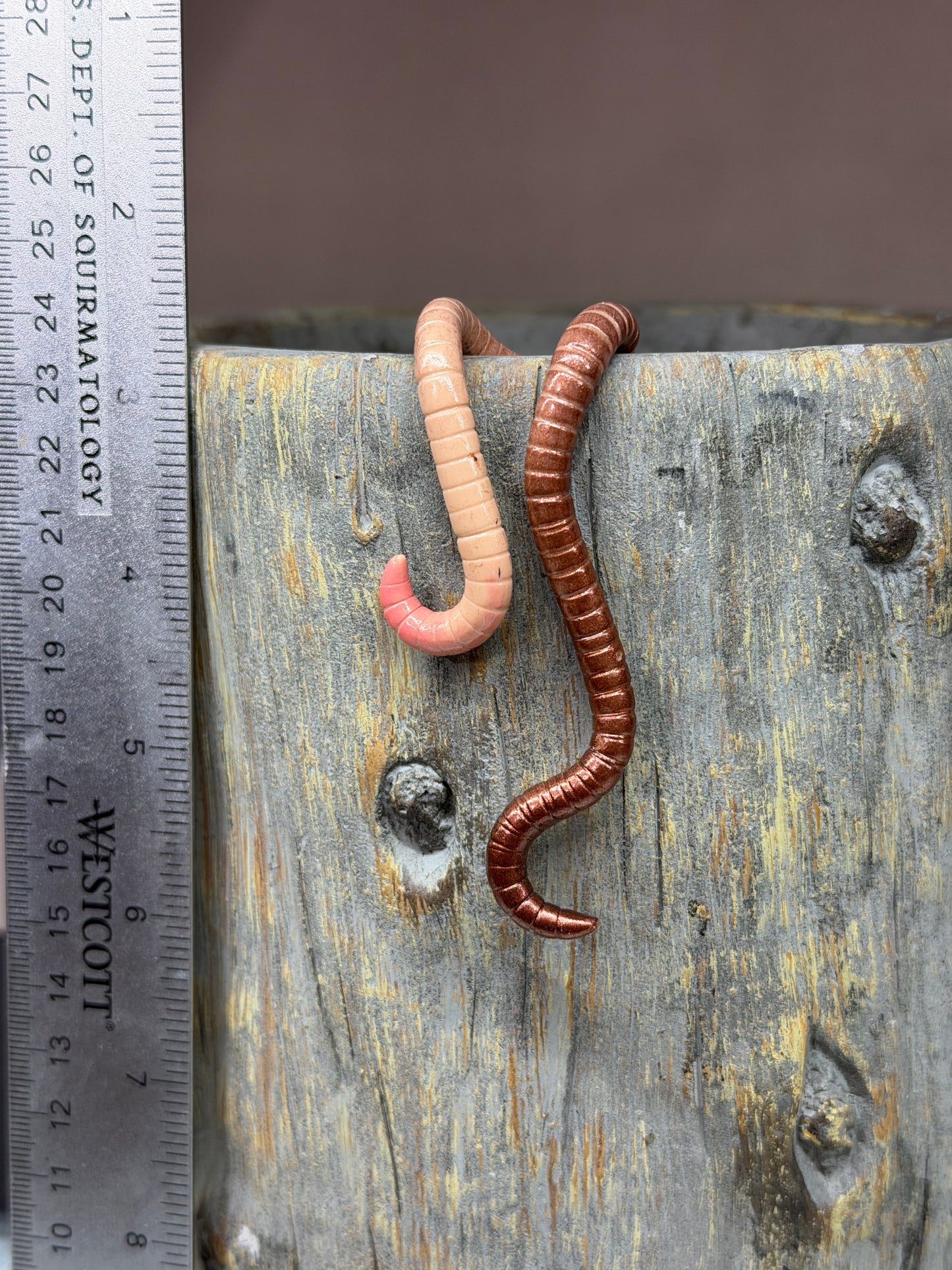 Cutie Crawler Planter Buddy 22