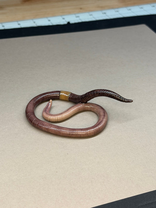 Hoss - Big Freaking Worm Figurine 5