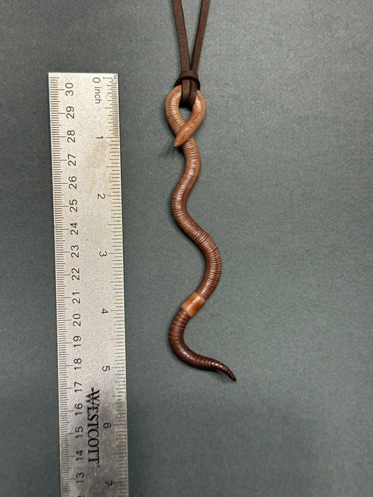 Jerwormy - Worm Pendant 20