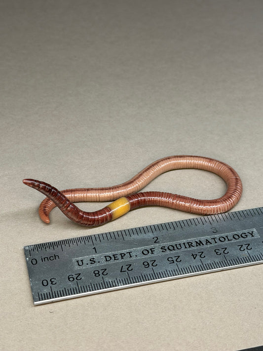 Luke Slimewalker - Worm Figurine/Ring Holder 45