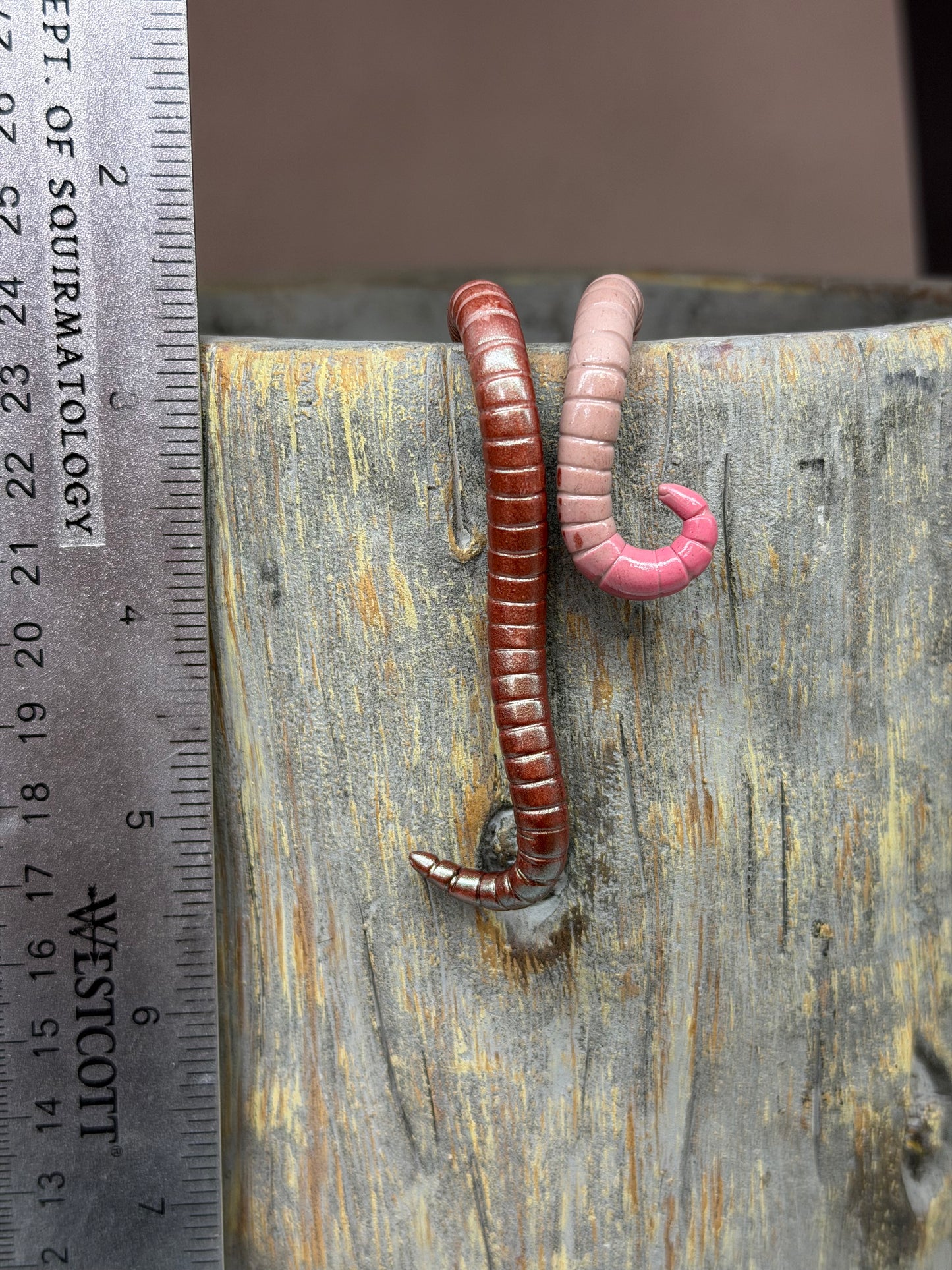Cutie Crawler Planter Buddy 14