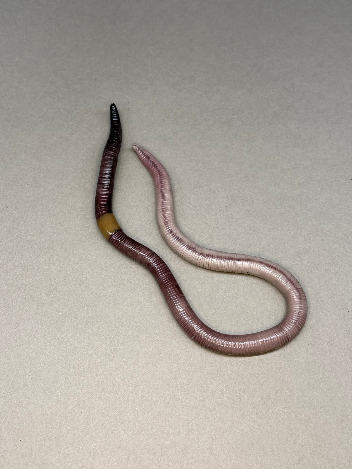 Deb - Big Freaking Worm Figurine 7