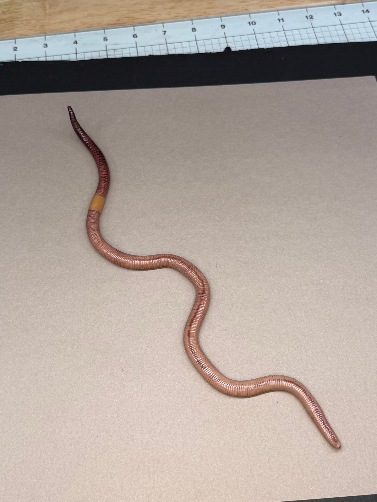 Gertha - Big Freaking Worm Figurine 2