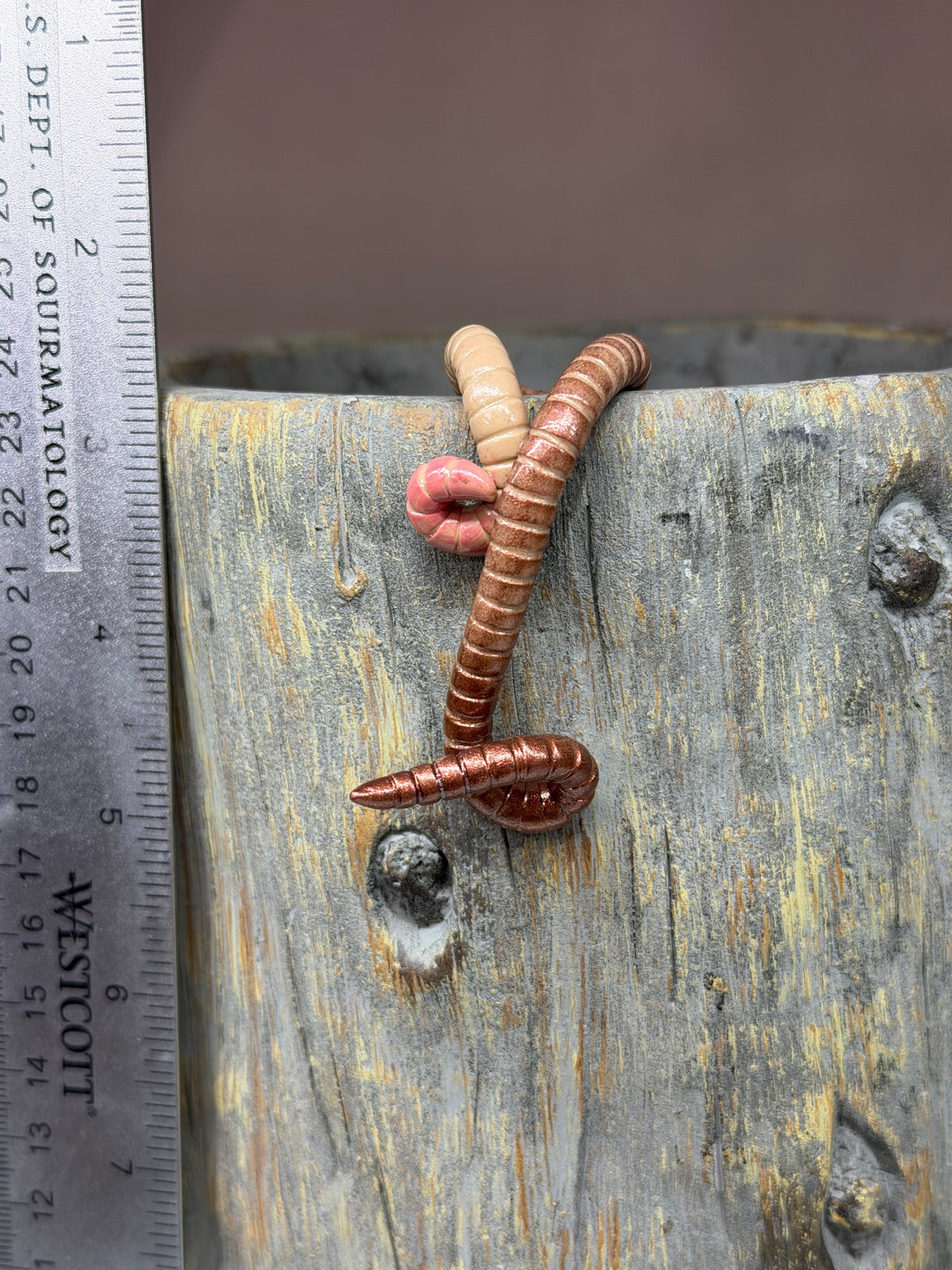 Cutie Crawler Planter Buddy 11
