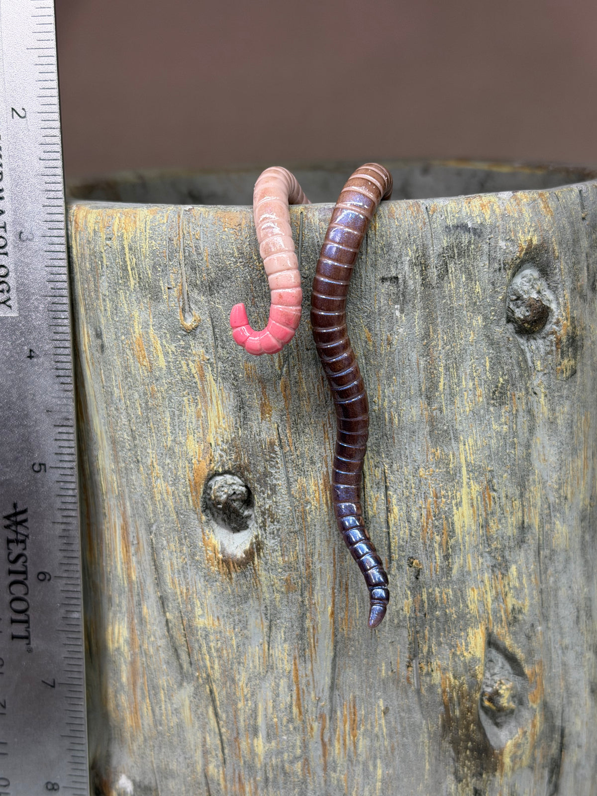 Cutie Crawler Planter Buddy 20