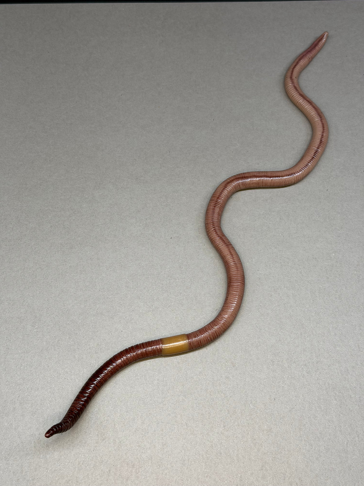 Gertha - Big Freaking Worm Figurine 2