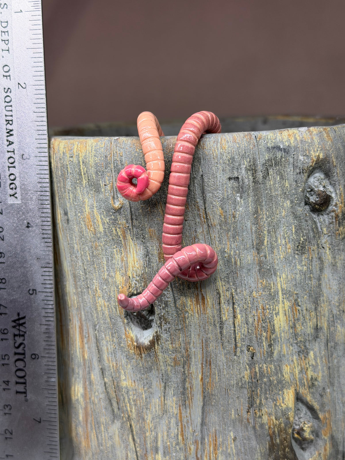 Cutie Crawler Planter Buddy 16