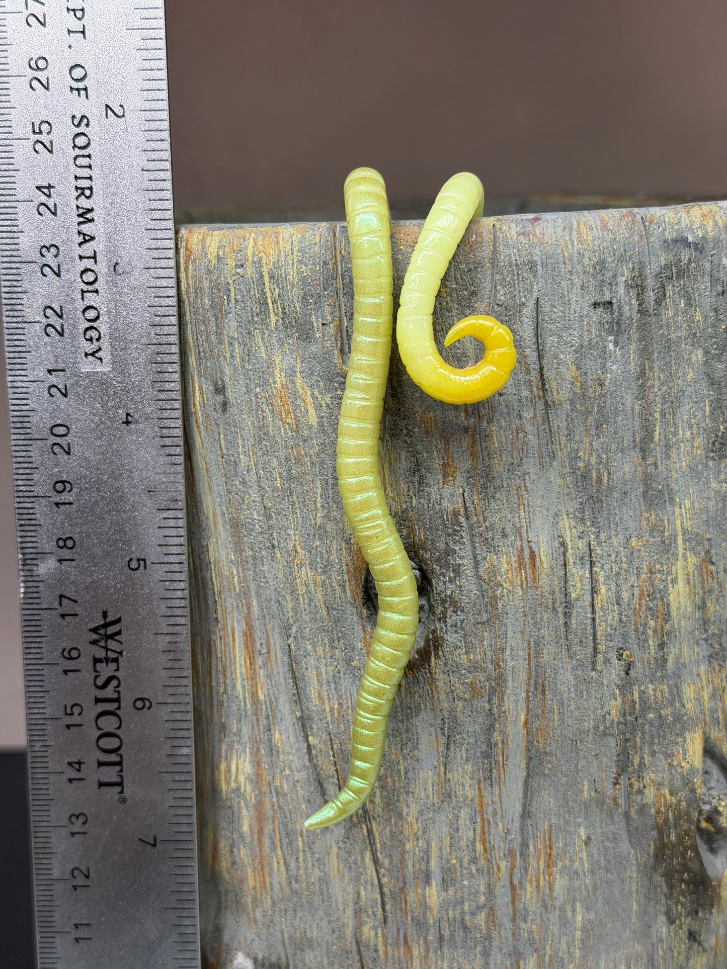 Glow in the Dark Cutie Crawler Planter Buddy 1