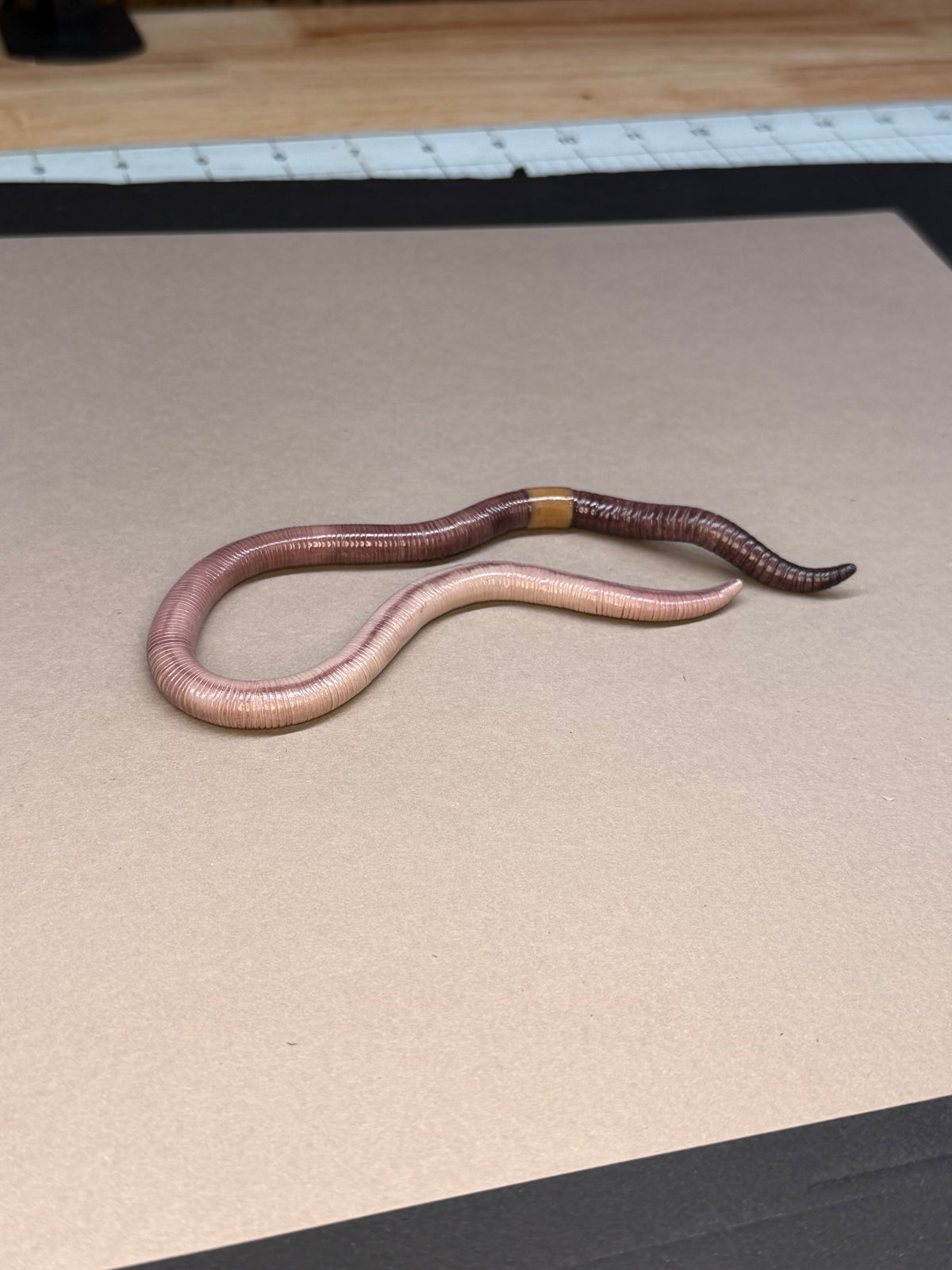 Deb - Big Freaking Worm Figurine 7