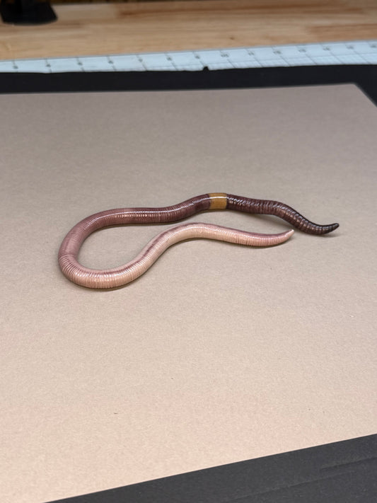 Deb - Big Freaking Worm Figurine 7