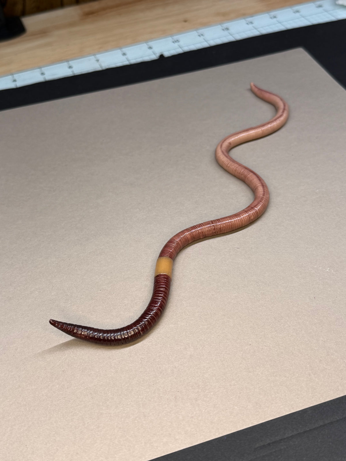 Lemgth - Big Freaking Worm Figurine 1