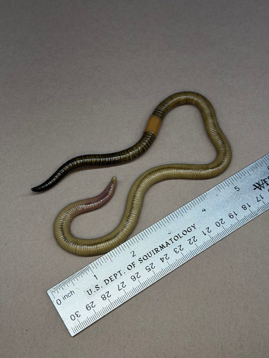 Clibbins - Big Freaking Worm Figurine 6