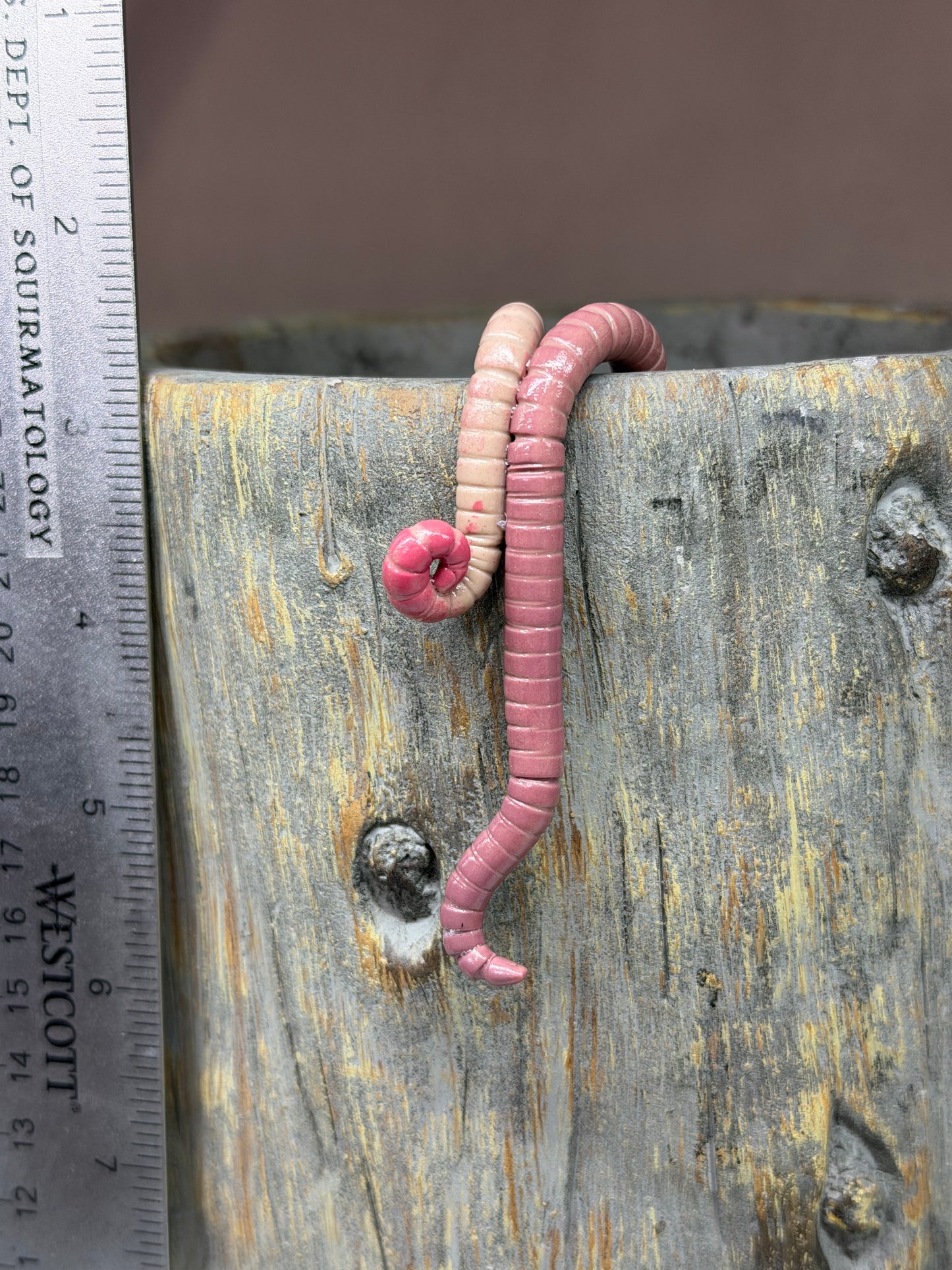 Cutie Crawler Planter Buddy 17