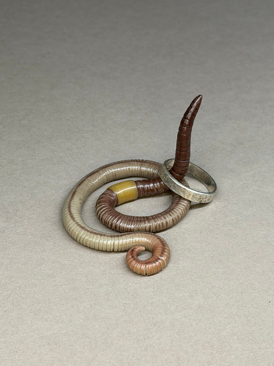 Fred Wurmst - Worm Figurine/Ring Holder 48