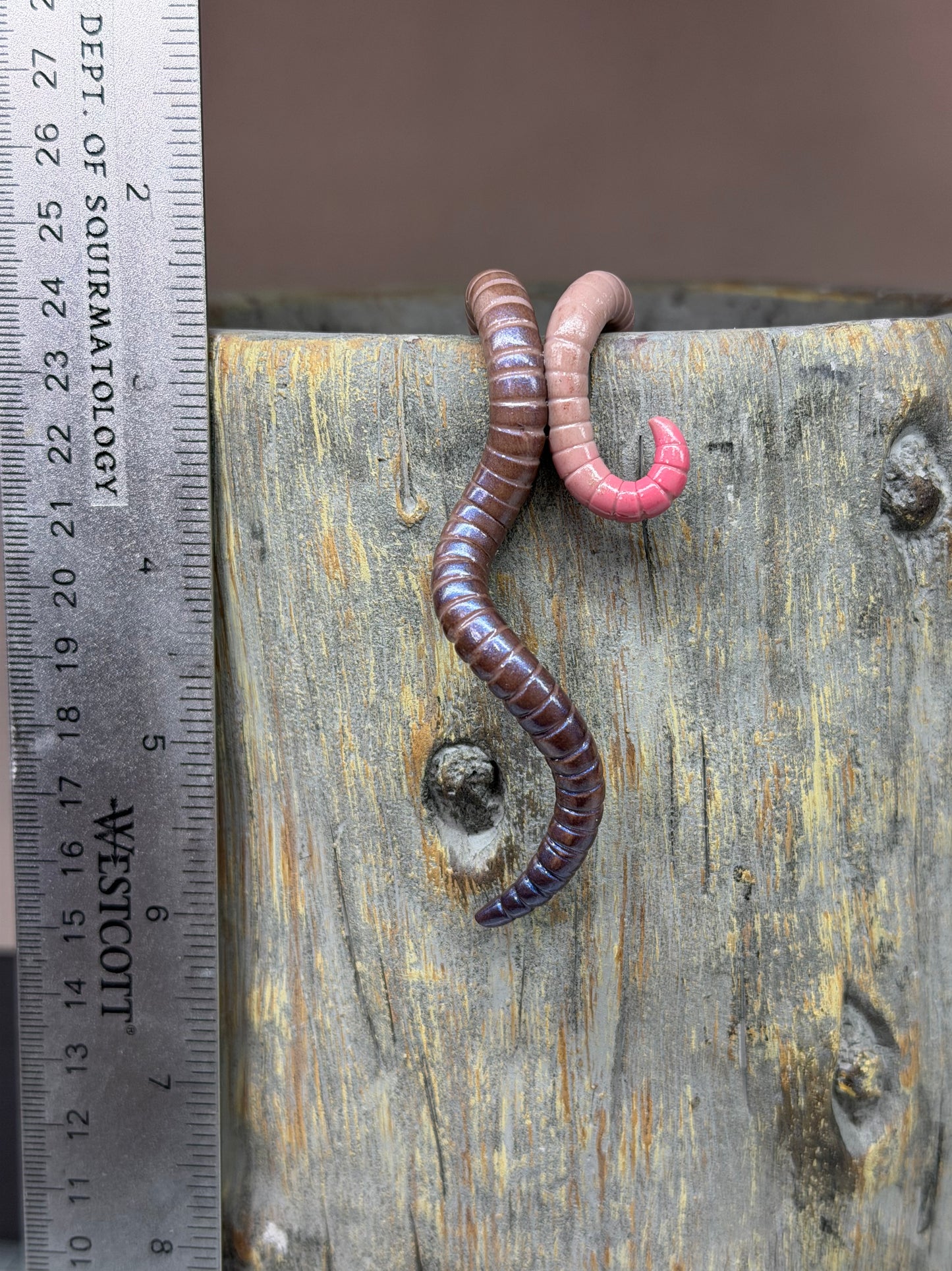 Cutie Crawler Planter Buddy 9