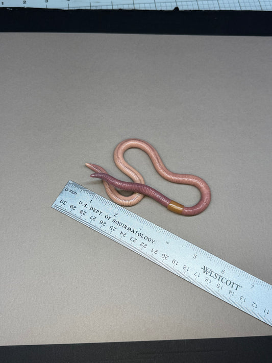Barb - Big Freaking Worm Figurine 4