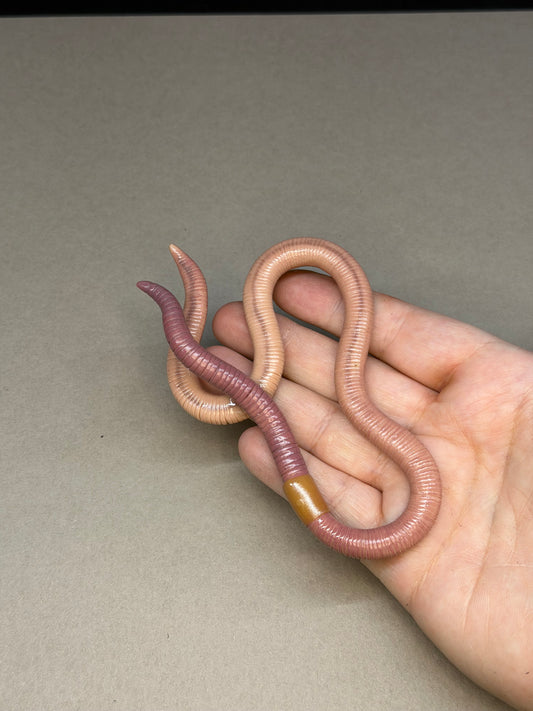 Barb - Big Freaking Worm Figurine 4