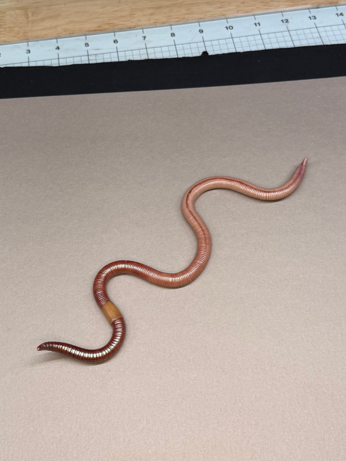 Peaches - Big Freaking Worm Figurine 3