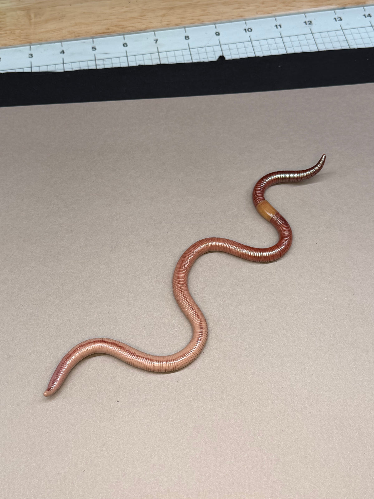 Peaches - Big Freaking Worm Figurine 3