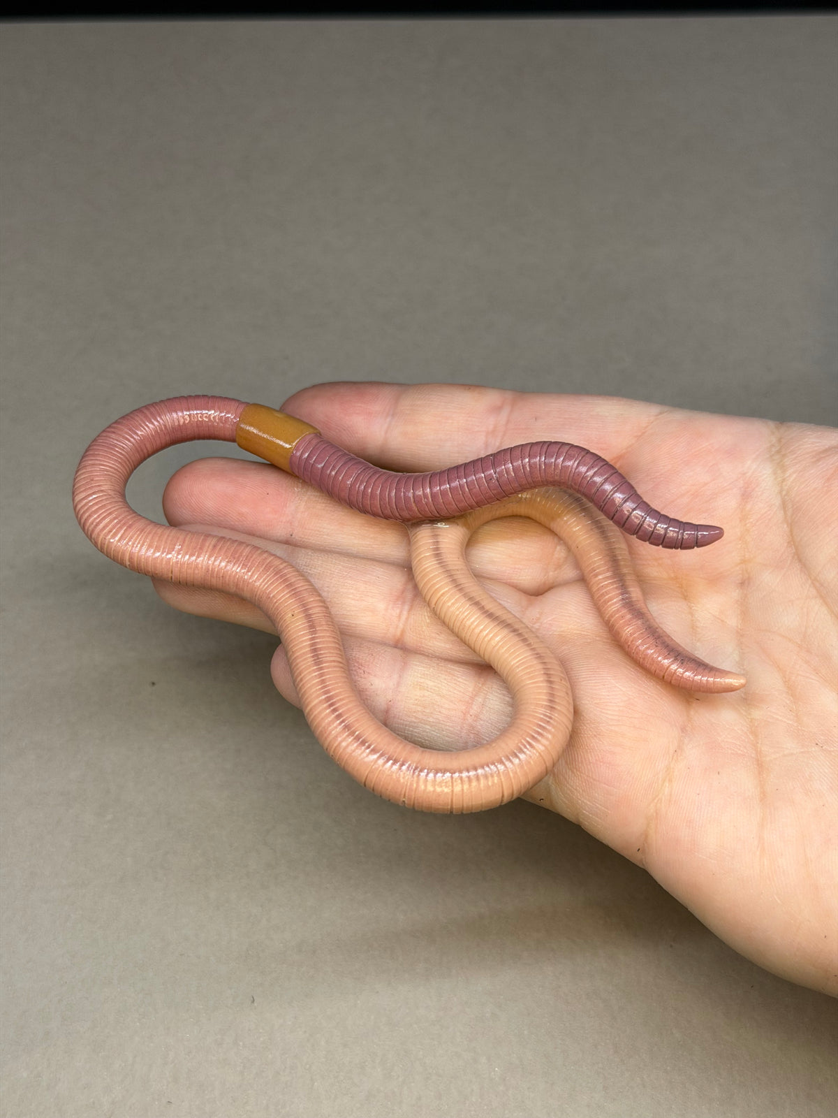 Barb - Big Freaking Worm Figurine 4