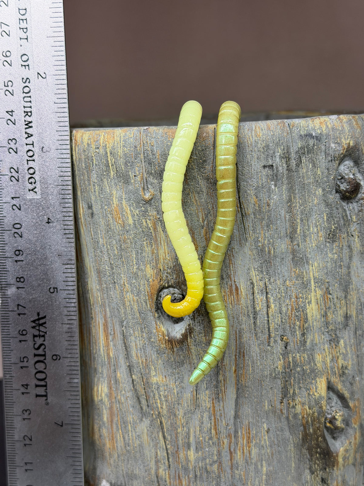 Glow in the Dark Cutie Crawler Planter Buddy 4