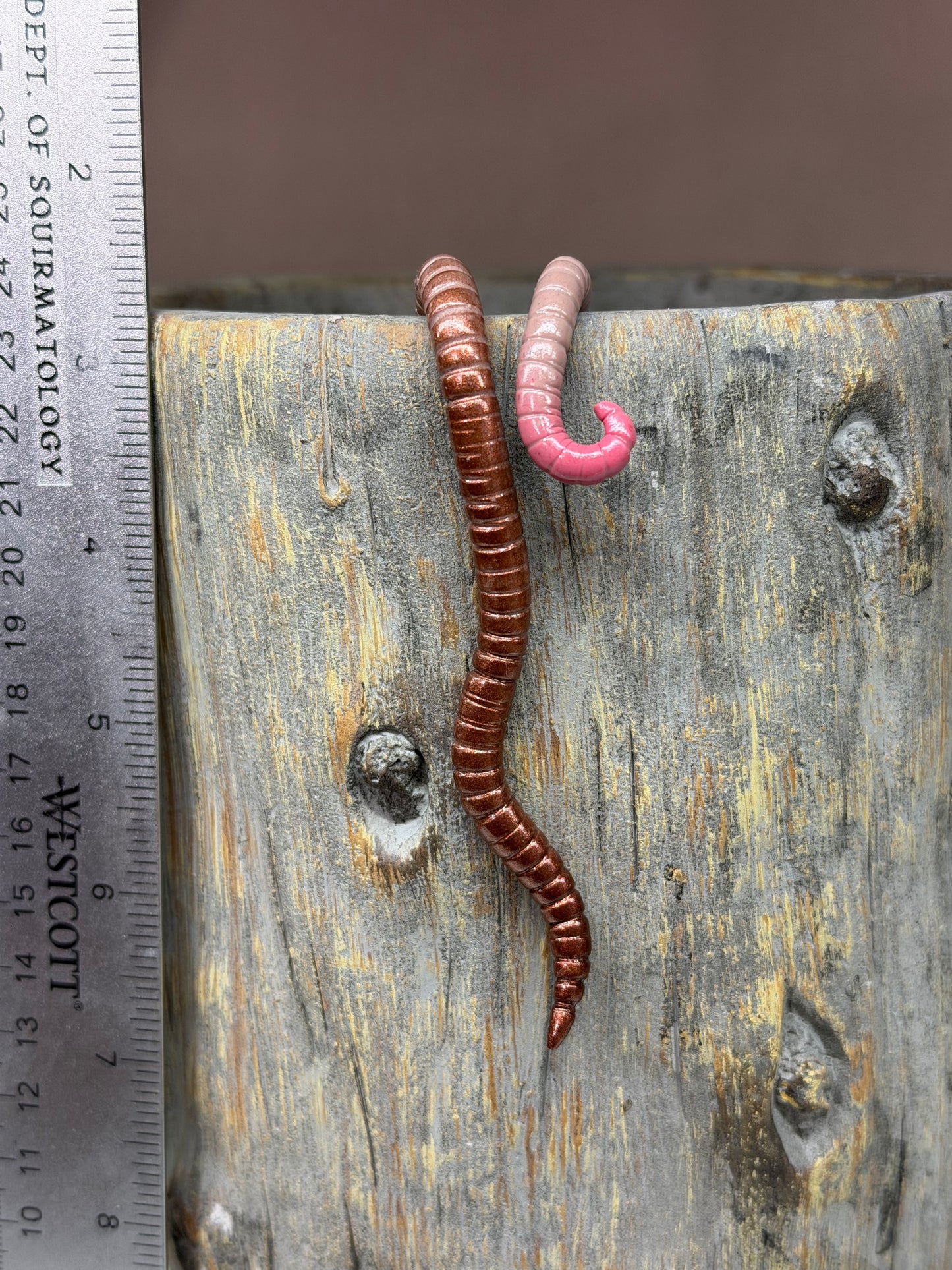 Cutie Crawler Planter Buddy 13