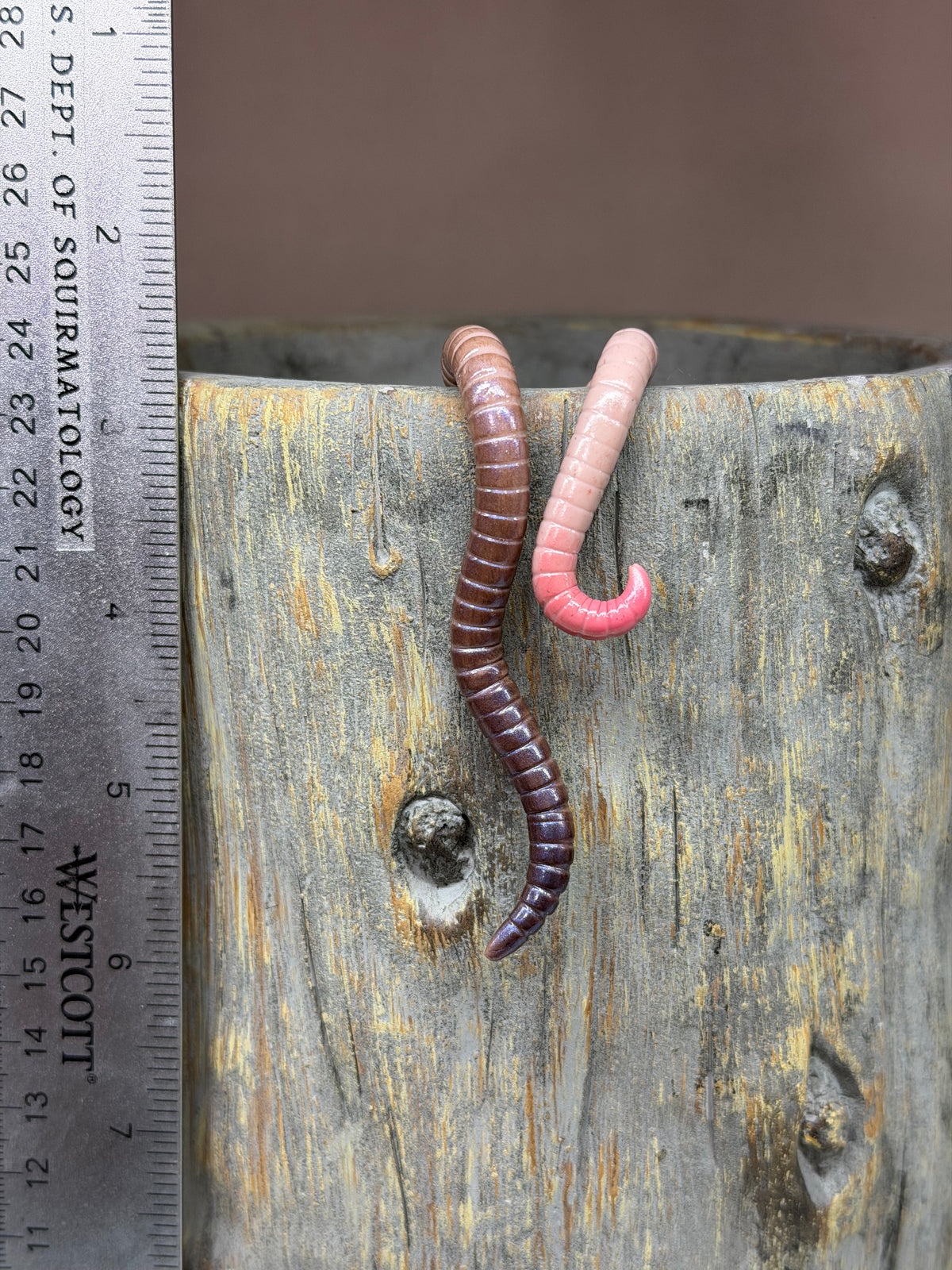 Cutie Crawler Planter Buddy 8