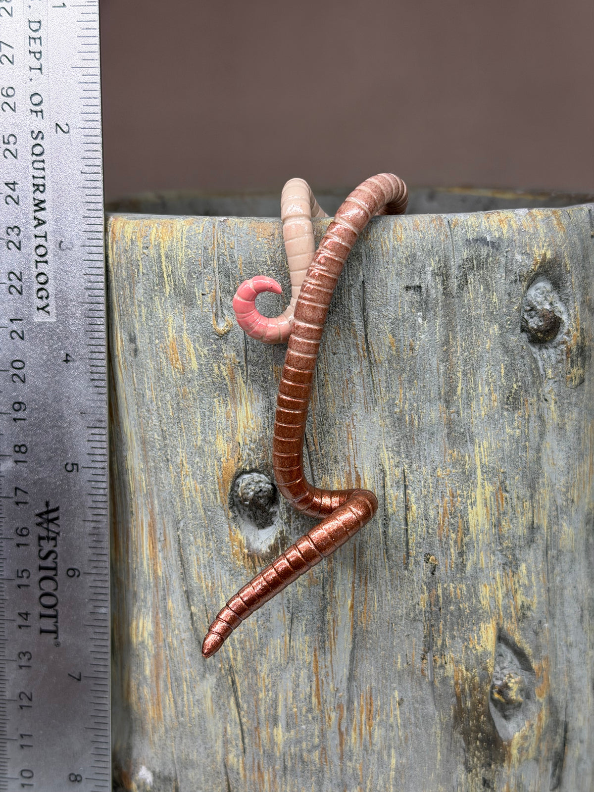 Cutie Crawler Planter Buddy 7