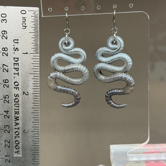 Worm Earrings 22