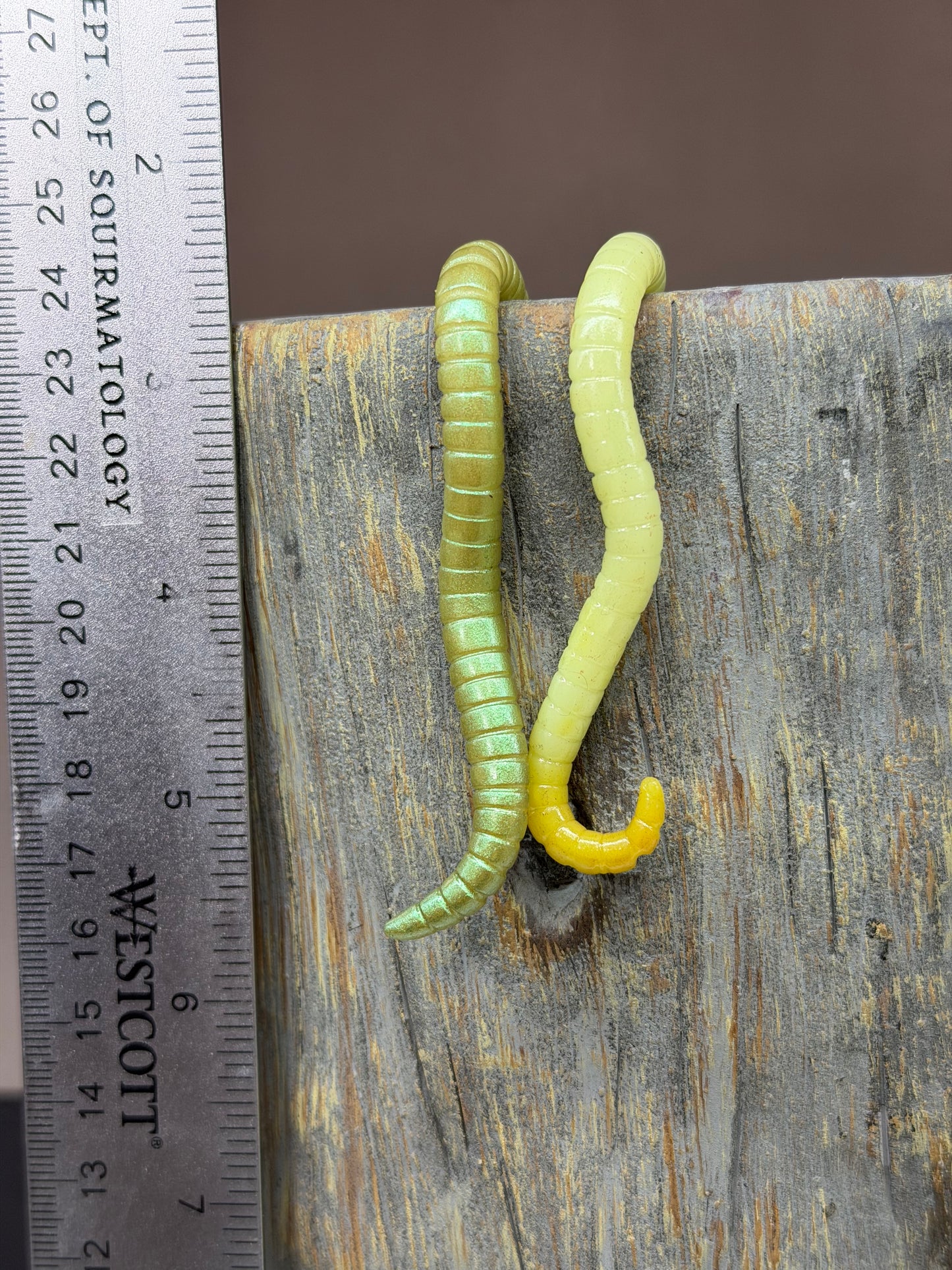 Glow in the Dark Cutie Crawler Planter Buddy 2