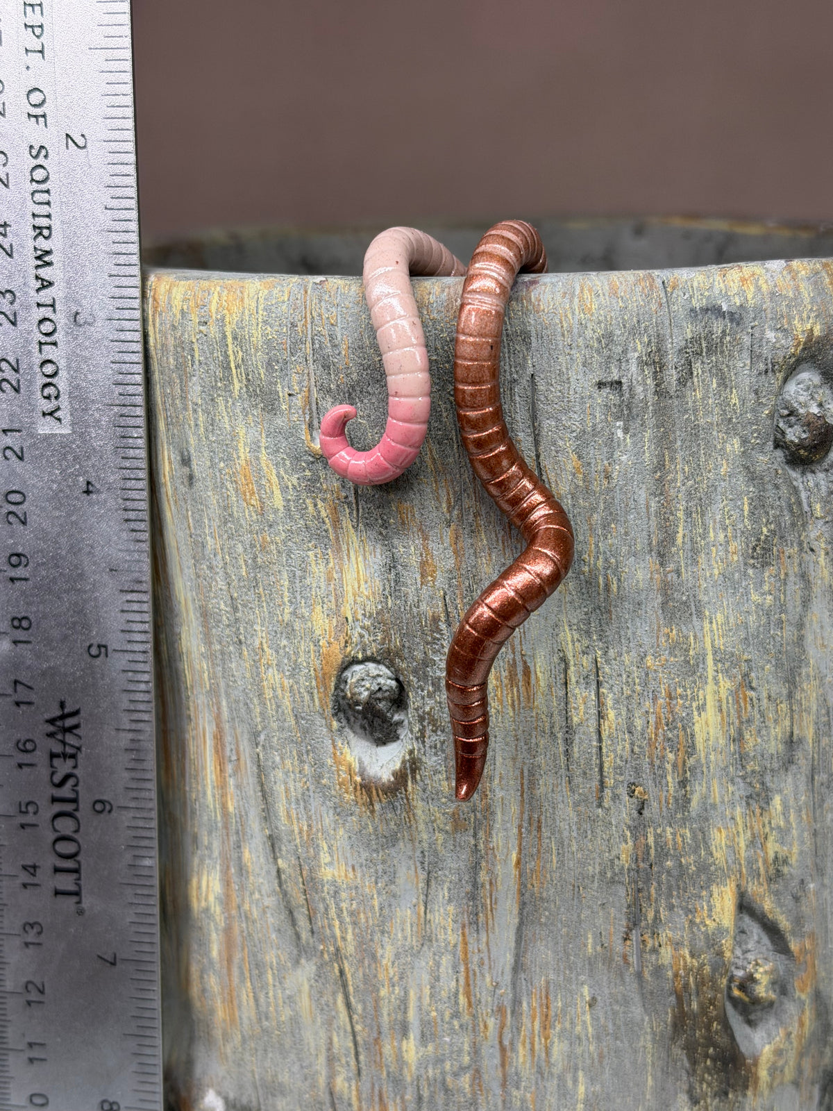 Cutie Crawler Planter Buddy 12