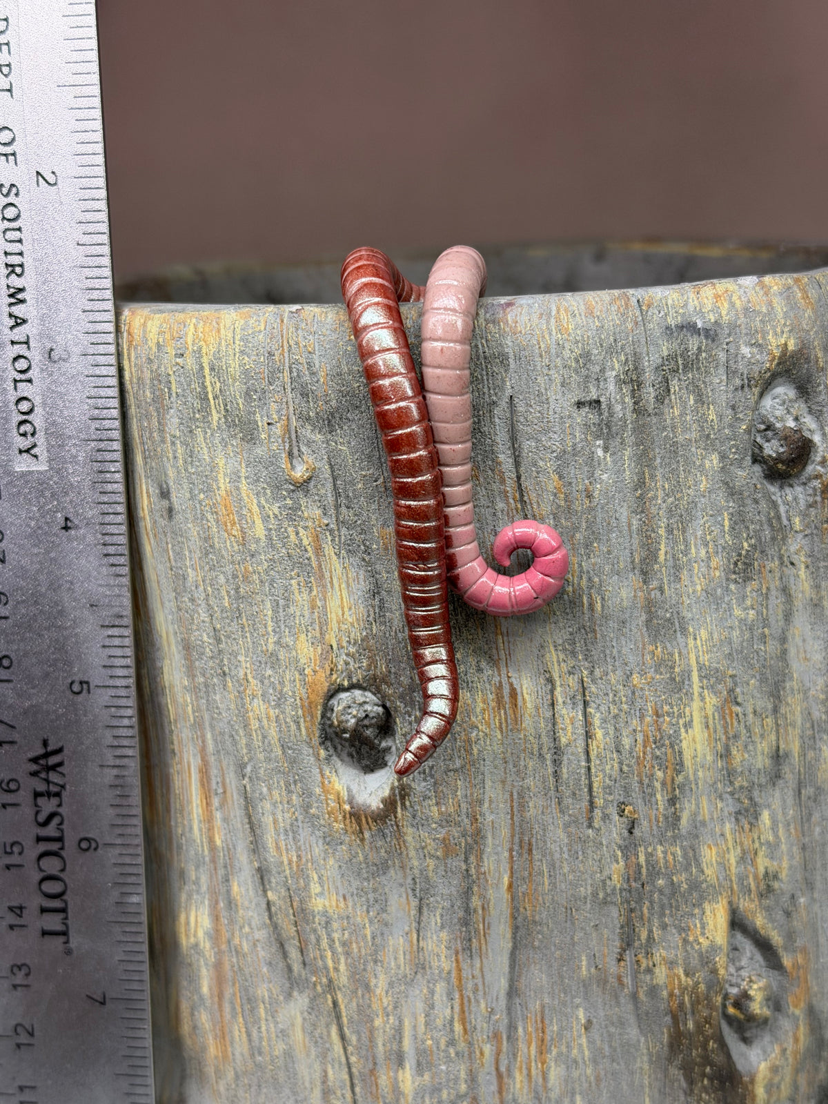 Cutie Crawler Planter Buddy 18