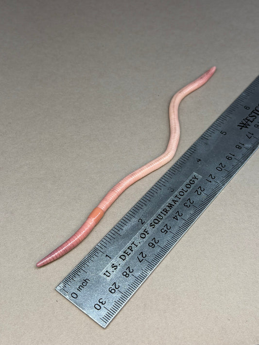 Muds Mikkelslime - Worm Figurine 93
