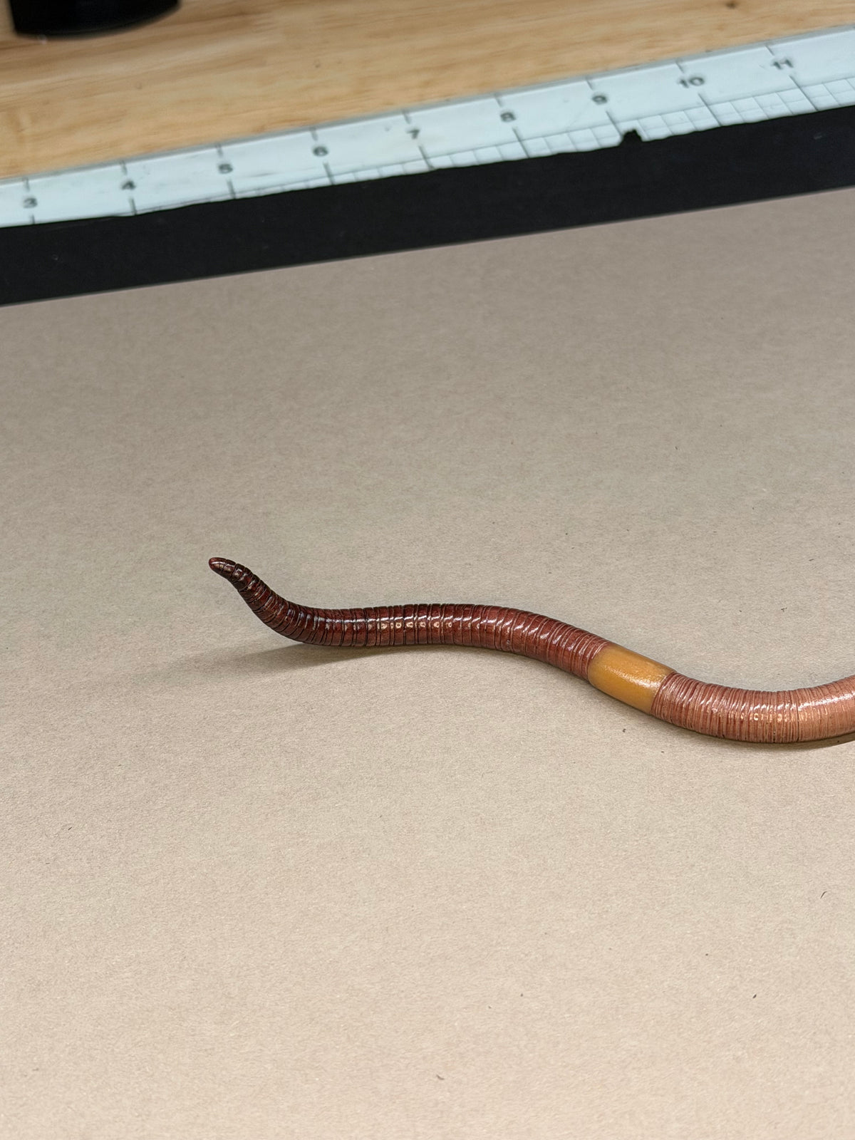 Gertha - Big Freaking Worm Figurine 2