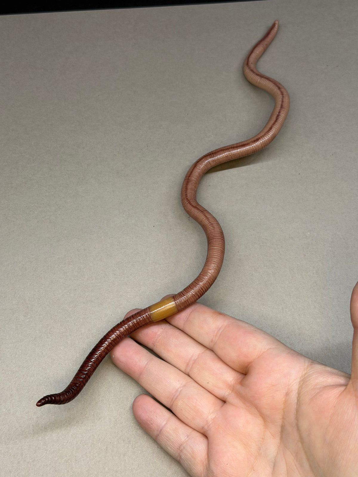 Gertha - Big Freaking Worm Figurine 2