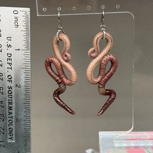 Worm Earrings 15