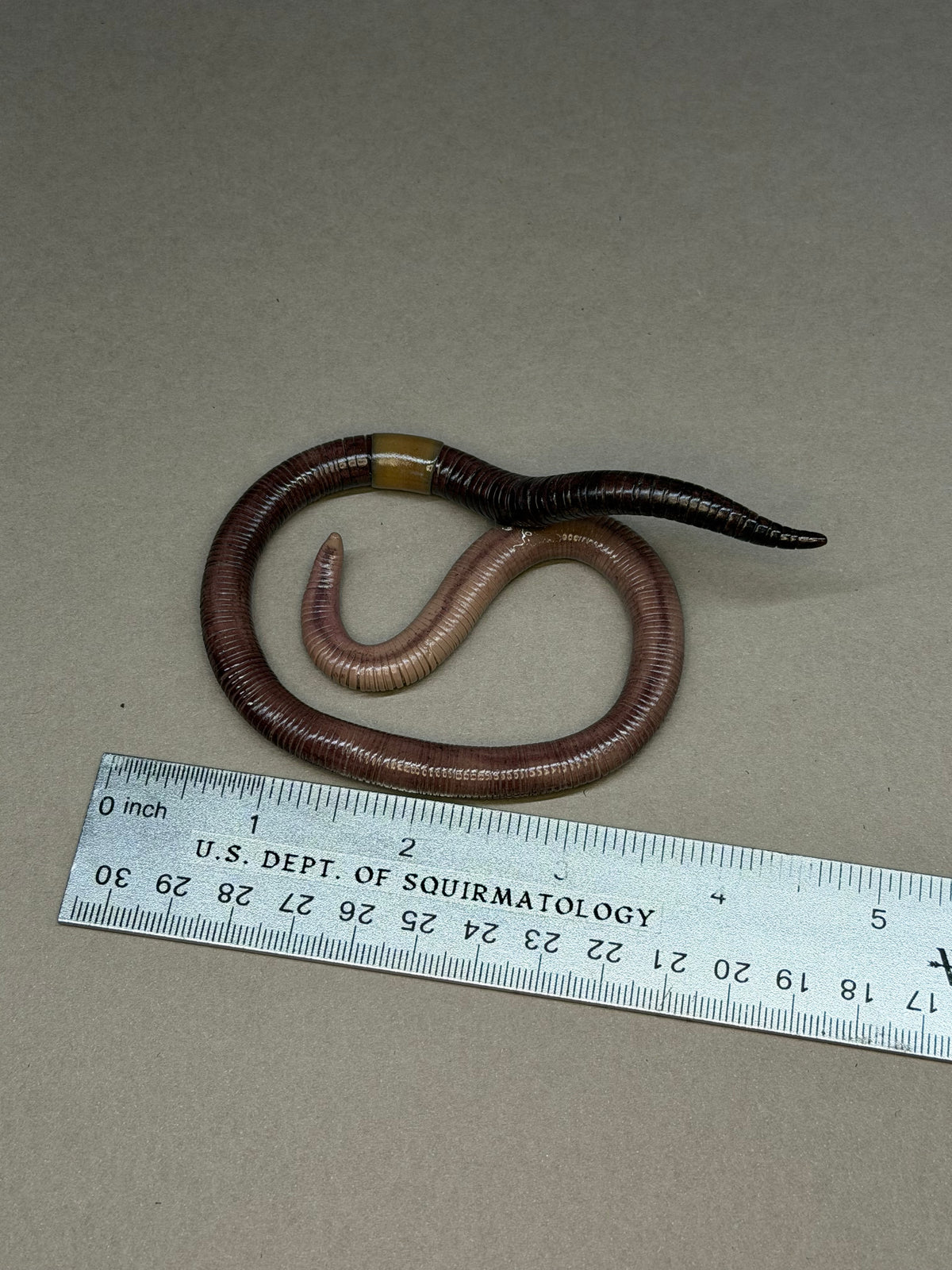 Hoss - Big Freaking Worm Figurine 5