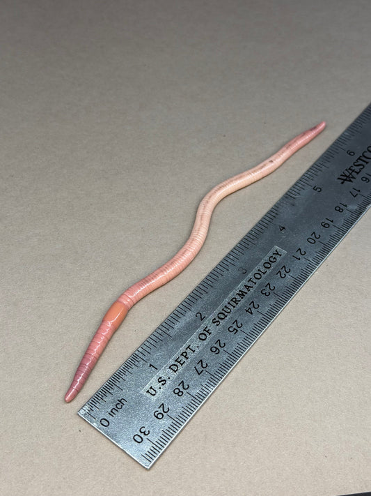 Dirt Cobain - Worm Figurine 92