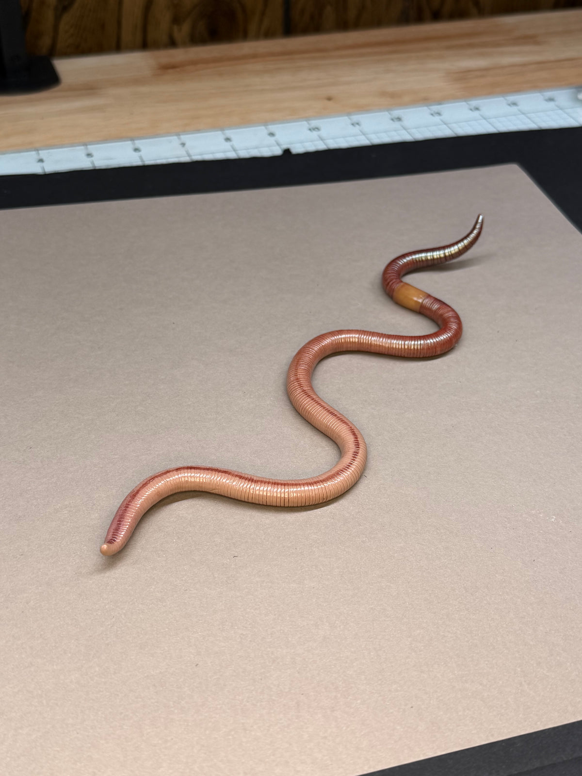 Peaches - Big Freaking Worm Figurine 3