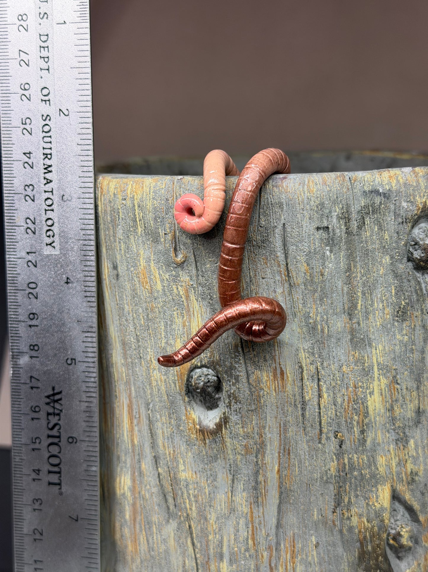 Cutie Crawler Planter Buddy 21