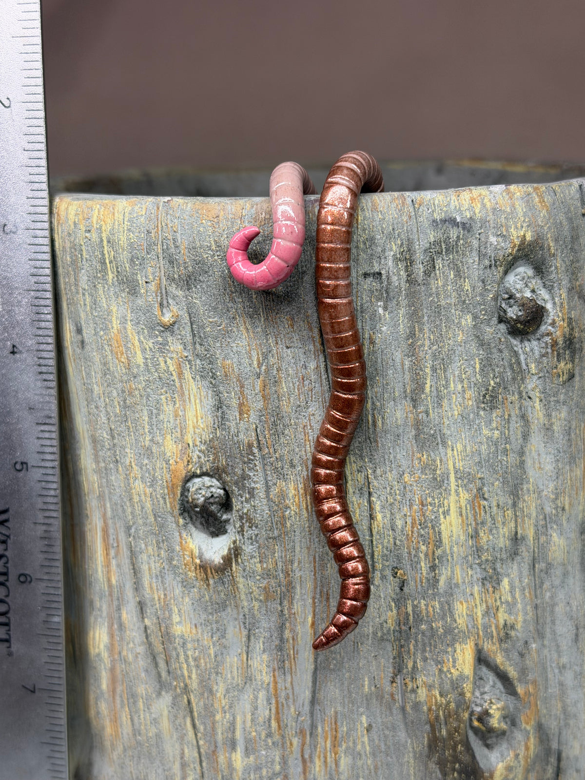 Cutie Crawler Planter Buddy 15