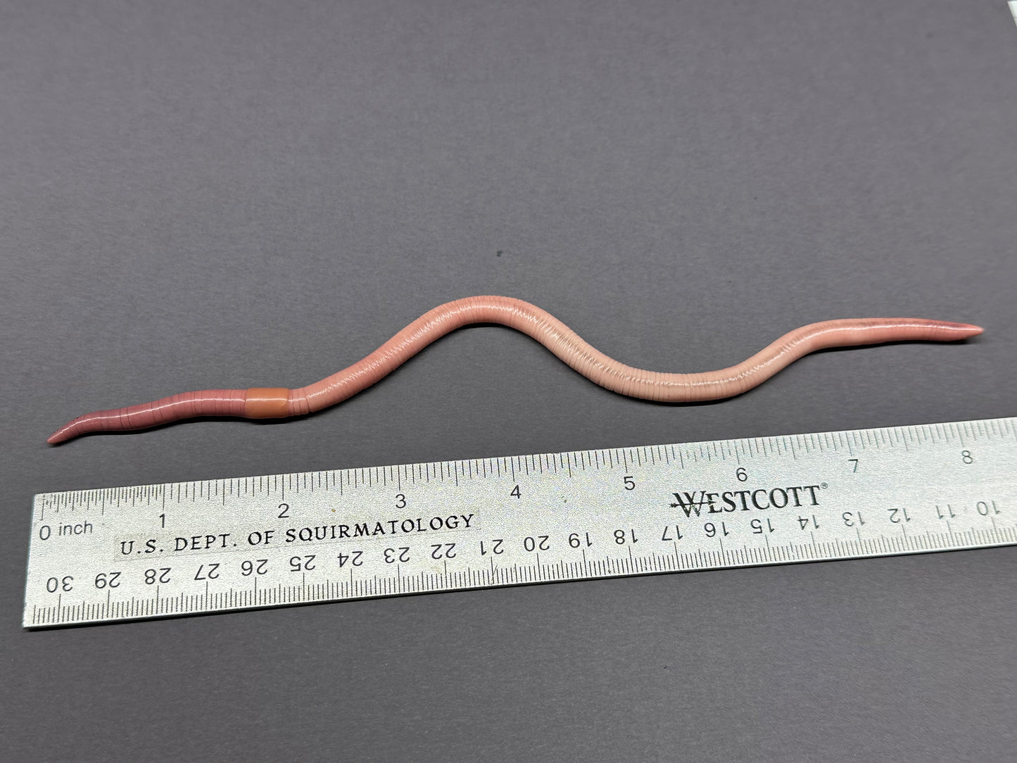 Bean Juice - Large Worm Figurine 2