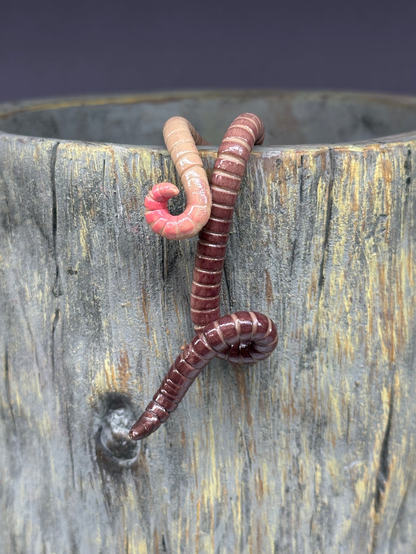 Cutie Crawler Pot Buddy 14